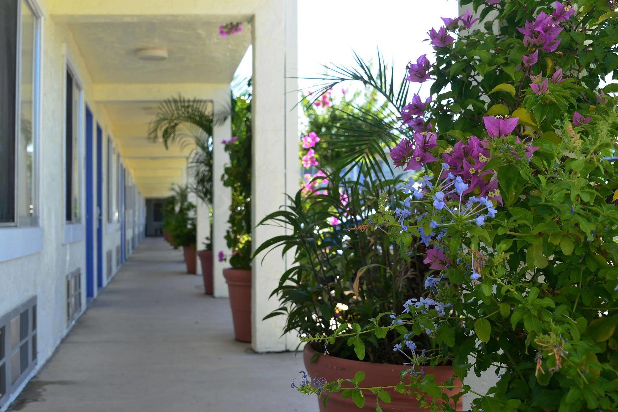 Americas Best Value Inn Bradenton-Sarasota Dış mekan fotoğraf